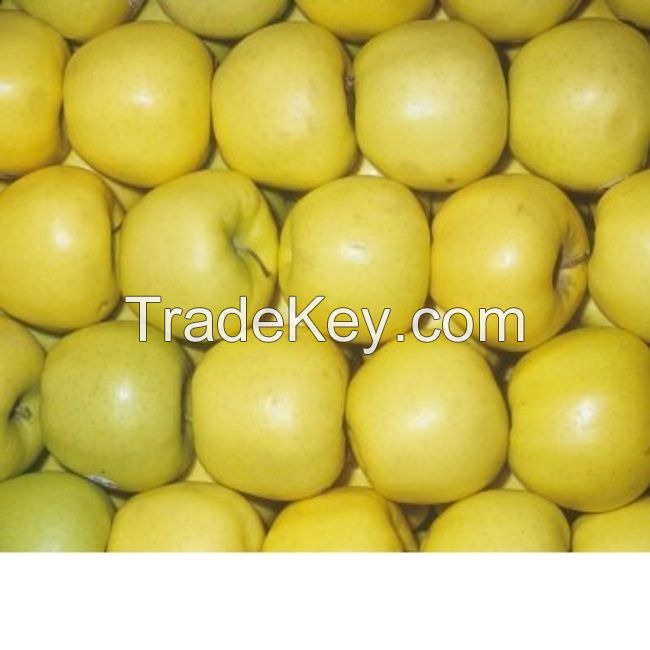 Fresh Apple Fruit Price from China