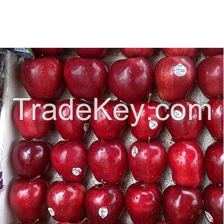 Bulk Fresh Fuji Apples Fruit Wholesale Size 130/140/150 g