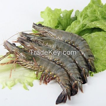 FROZEN VANNAMEI SHRIMP WITH HIGH QUALITY &amp; THE BEST PRICE