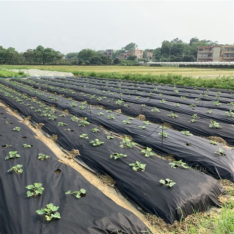 PP/Polypropylene spunbond agriculture nonwoven/non woven fabric for vegetable greenhouse, pp nonwoven fabric for weed control