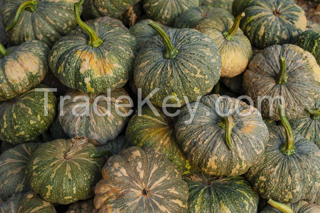 Fresh Pumpkin