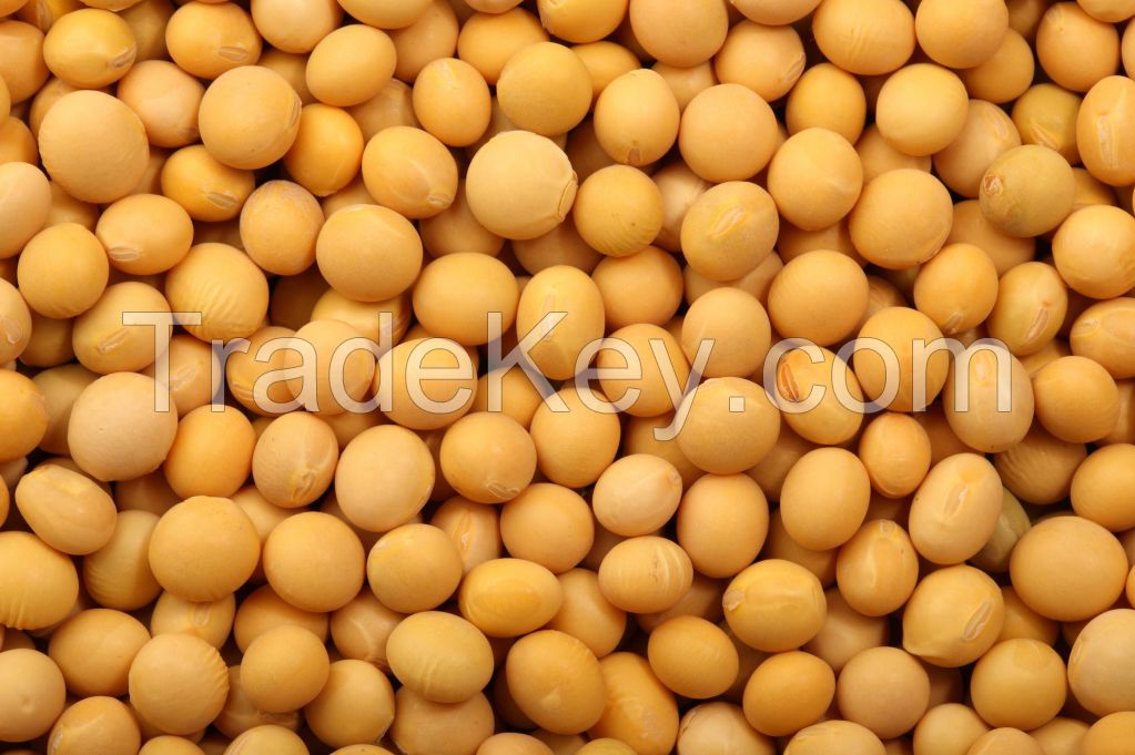 SOYBEANS