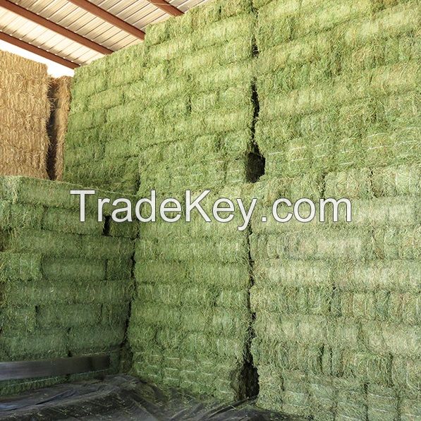 Lucerne hay ,alfafa hay, timothy hay 