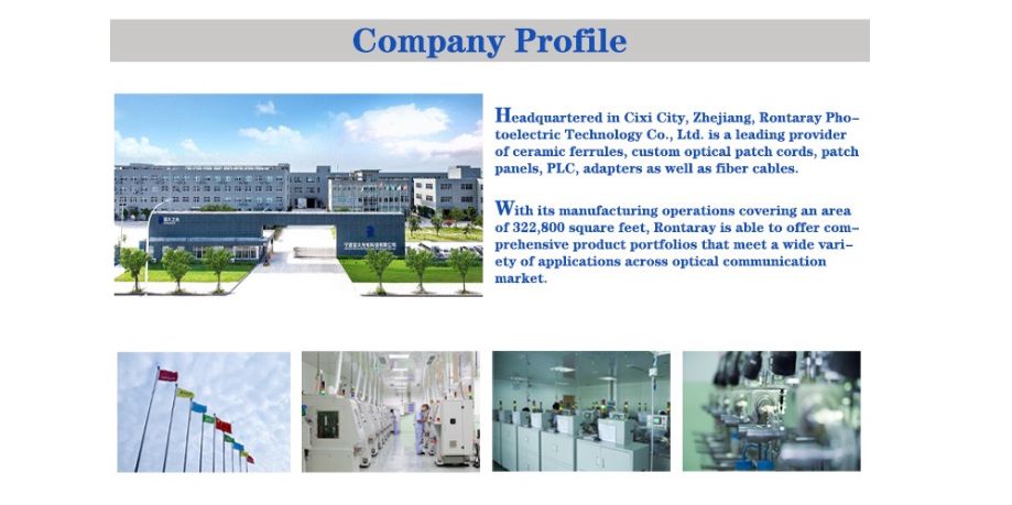 SC/ST apc ceramic ferrules with flange concentricity 1.0um