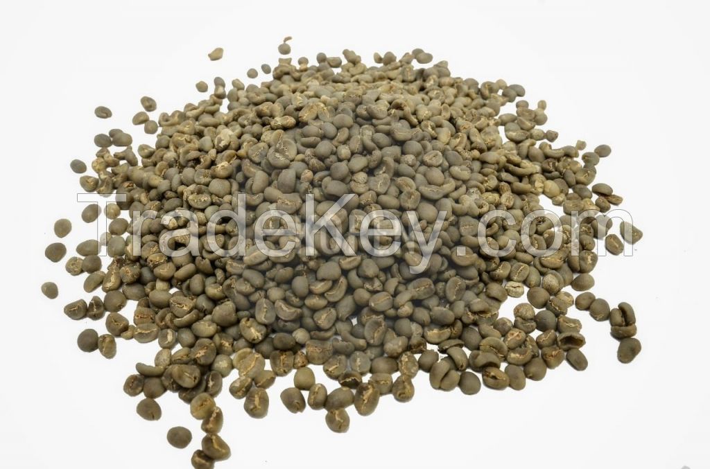 High Quality Gayo Arabica G-1 Green Coffee Bean