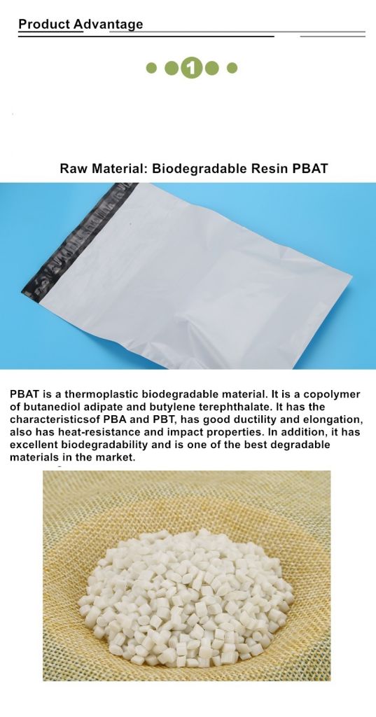 Biodegradable Self Sealing Bag