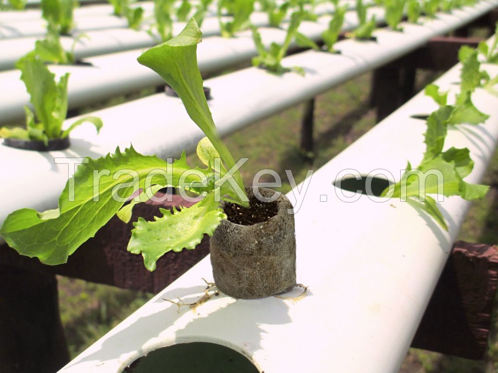 GREENHOUSE HYDROPONIC SYSTEM PEAT PELLET DISC BLOCK PLANT VEGETABLE FRUIT GROWING MEDIA