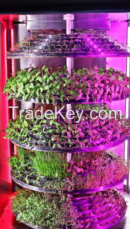 CONTAINER FARM HYDROPONIC VEGETABLE MICROGREEN LEAFY PLANT FRUIT TOMATO LETTUCE FLOWER GREENHOUSE TRAY NURSERY PLANT FACTORY