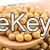 Soya bean( best quality)