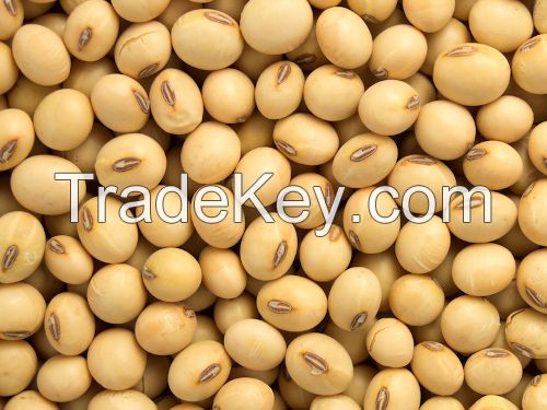 fresh organic soya beans