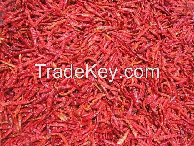 dried red chilli pepper