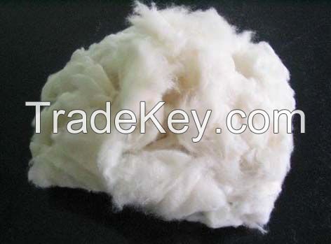 Cotton Comber Noil