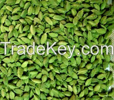 Top Quality Green Cardamom/ Cloves/ Tumeric