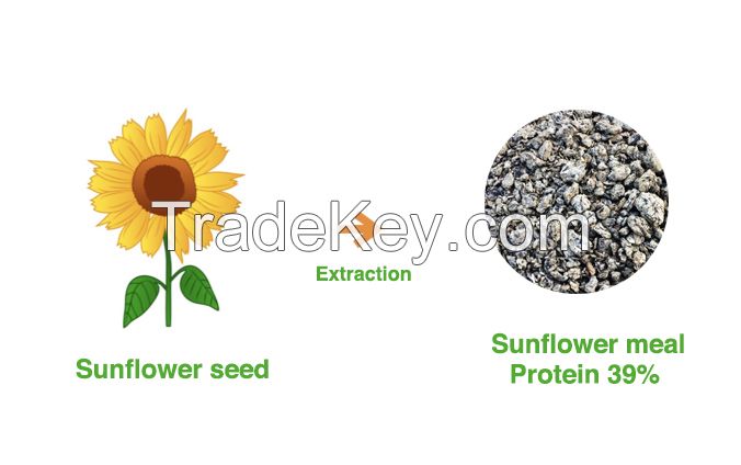 Sunflower meal high protein 36% (as is) non pelleted, sunflower oil cake, for cattle feed, Odessa port, Ukraine