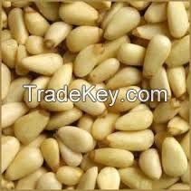 Eggplant Seeds/Forage Seeds/Bamboo Seeds/Marigold Seeds/Phacelia Seeds/Sacha Inchi/Tomato Seeds