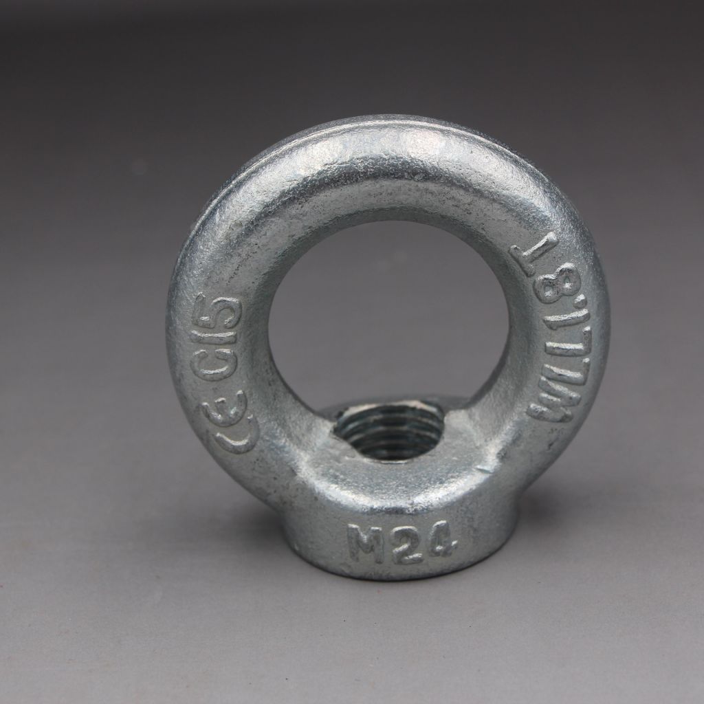 DIN582 LIFTING EYE NUT