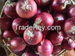 RED ONION 