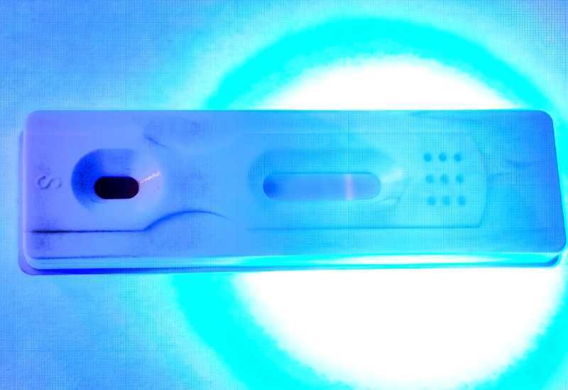 COVID-19 Rapid Test Kit,COVID-19 Antibody detection Kit, Novel Coronavirus(COVID-19)IgM/IgG Antibody Detection Kit, Quantum Dot-based Fluorescence Immunochromatography Test Kit