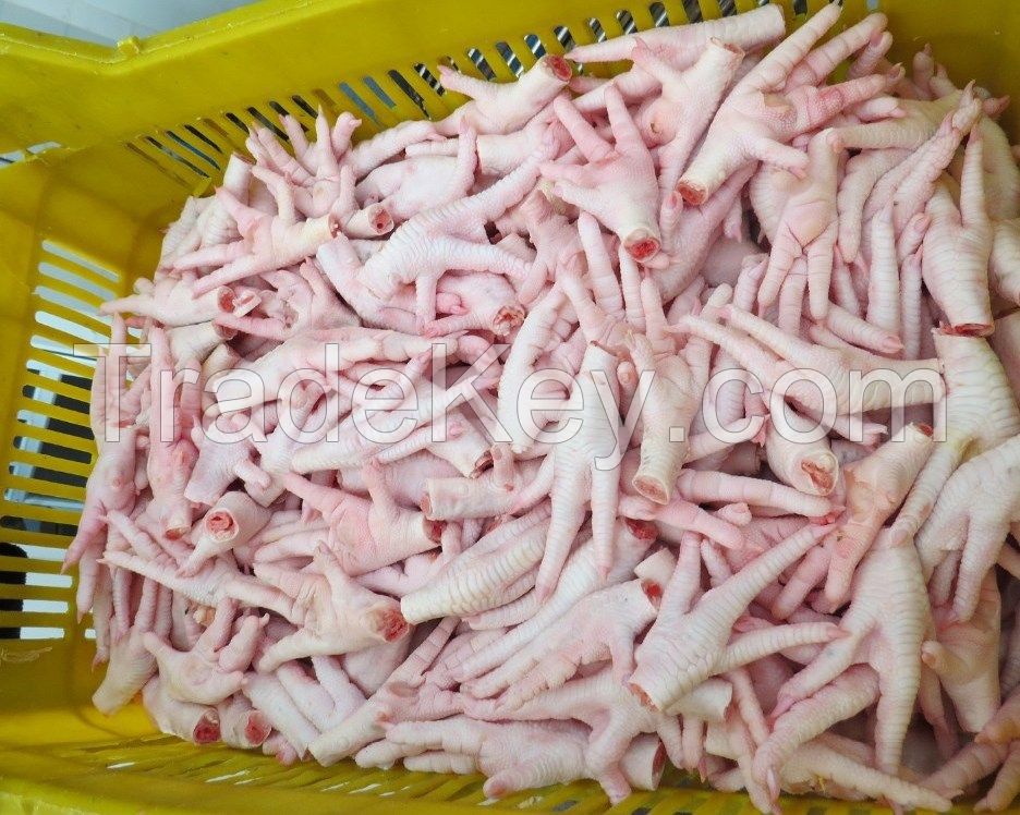 Halal Chicken Feet / Frozen Chicken Paws