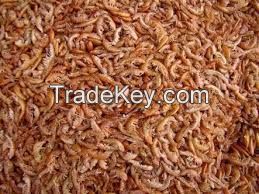 Dried Crayfish