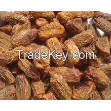 Dates Seeds