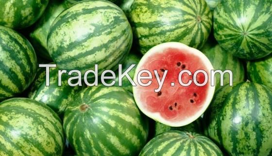 Fresh south africa water melon for sale 
