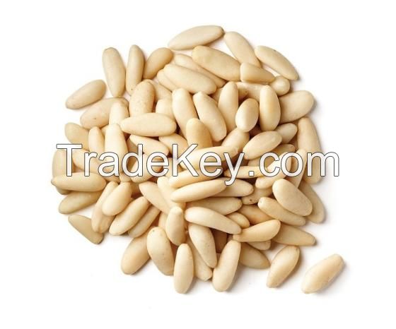 Best raw pine nuts siberian exporter pine nuts