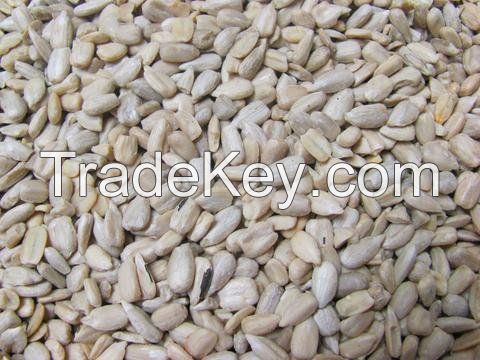 Wholesale Sunflower Seeds