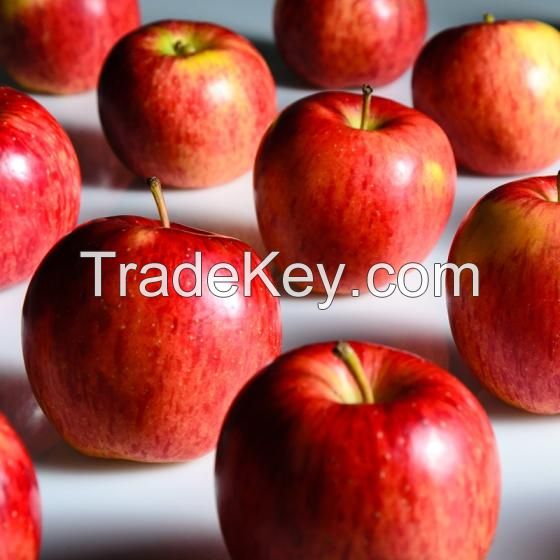 fresh fruits red juicy fuji apple fresh apple fuji with good delicious for sale