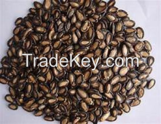 High Purity Natural Wholesale Melon Seeds/ Egusi Seeds for Sale