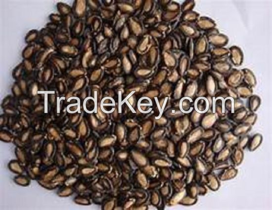 Wholesale Organic Salted Melon Pumpkin Seeds Market Price