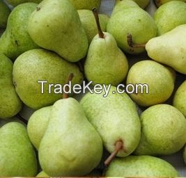 Supply  fresh fruit golden Crown pear 