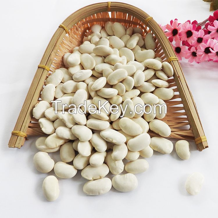 Wholesale Dried Small Dark Red Kidney Beans Price 