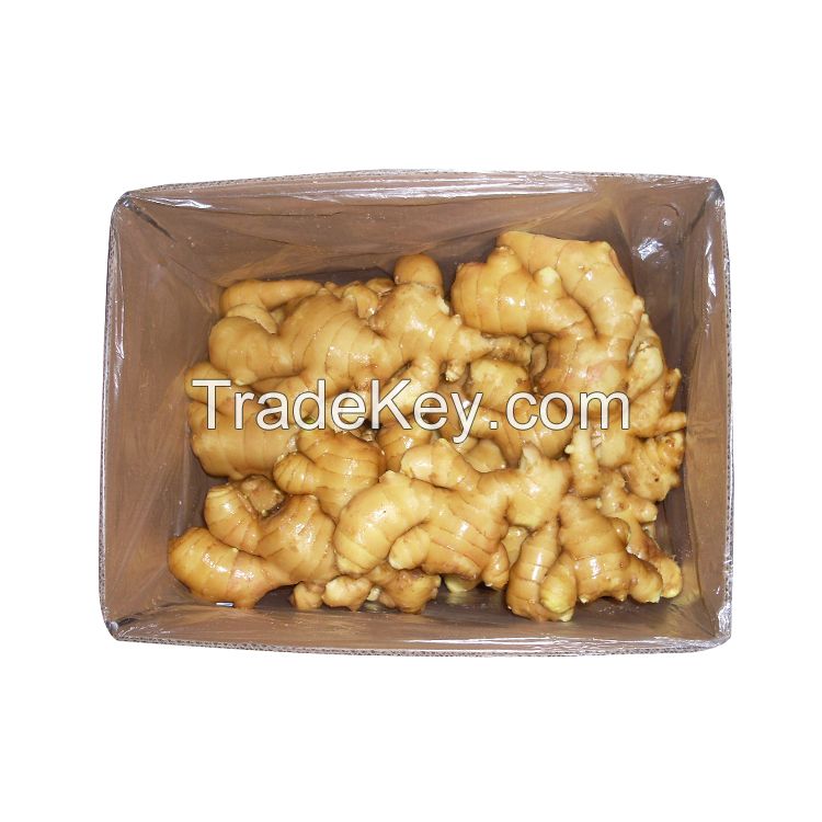 2020 Wholesale organic fresh ginger best price 