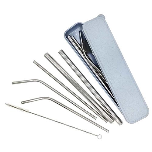 Stainless Steel Straws with Case