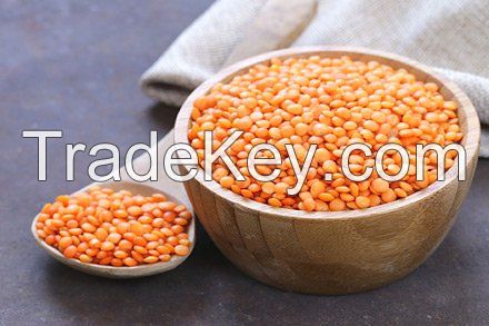 Masoor Dal / Lentils