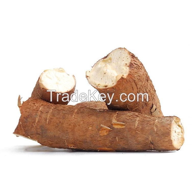 Fresh Quality Organic Cassava / Cassava Leaf Suitable For Food & Medicine