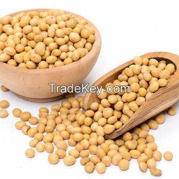 NON-GMO Soybeans Seeds with Best Quality