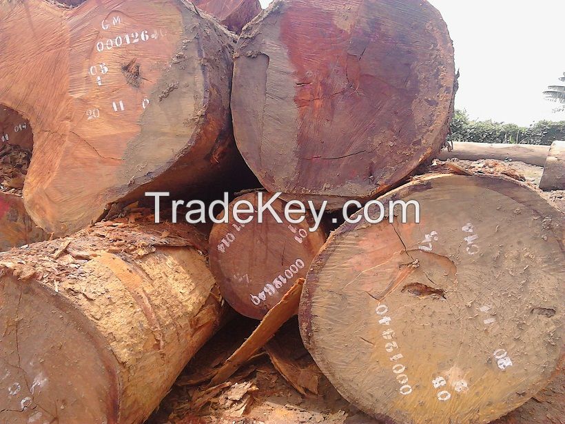 Africa hardwood for sale both in logs and lumbers