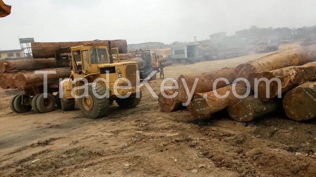 Africa hardwood for sale both in logs and lumbers