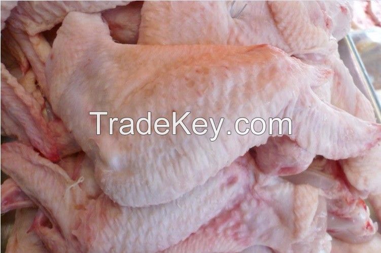 Frozen Chicken Wings, Drum Sticks, Breasts, Paws And Whole Chicken For Sale