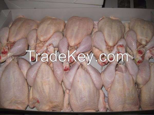 Frozen Chicken Wings, Drum Sticks, Breasts, Paws And Whole Chicken For Sale