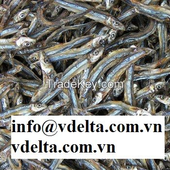 Dried Anchovies/Dried Fish with best quality, best price Ms.Luna +84.357.121.200