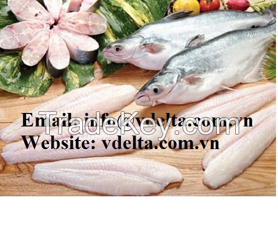 Frozen Vietnamese Catfish Fillet - Pangasius - Basa fish