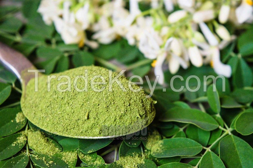 100% high quality organic Moringa leaf extract powder/ Ms.Luna +84 357 121 200