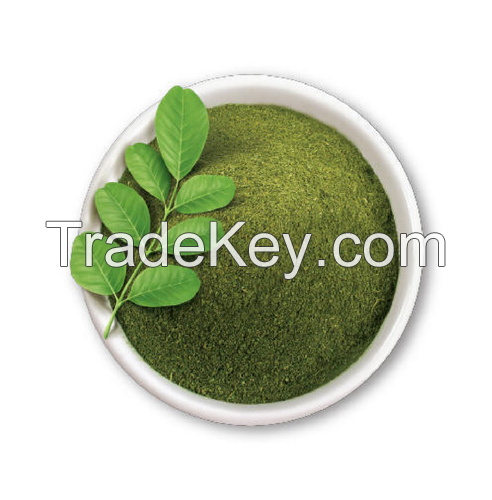 Premium quality organic moringa oleifera leaf powder for buyers free sample/MS. GINA +84 347 436 085