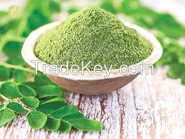 Vietnamese premium quality moringa leaf powder with the competitive price/ Ms. Dilys +84 969 694 230