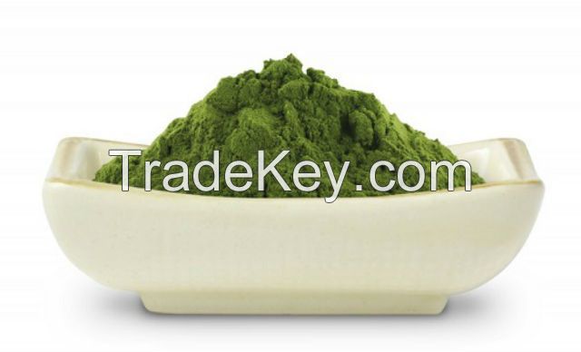 100% high quality organic Moringa leaf extract powder/ Ms.Luna +84 357 121 200