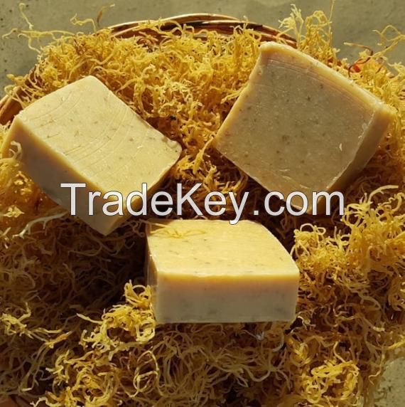 100% Organic Handmade Sea Moss Soap from Vietnam/ The Best Irish Seamoss Soap for Your Skin/ MS. Selena +84 906 086 094