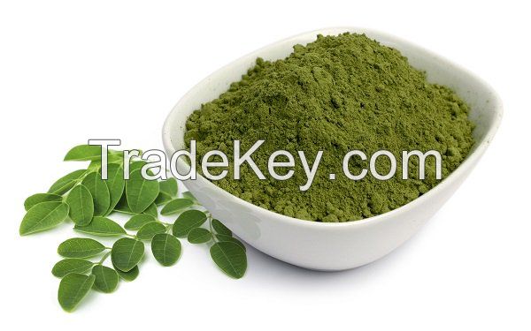 Top Quality organic moringa powder moringa leaves tea moringa leaf extract powder/ MS. GINA +84 347 436 085